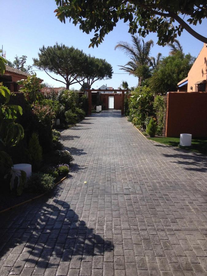 Estudio Con Jardincito Privado Barbacoa Y Piscina กาดิซ ภายนอก รูปภาพ